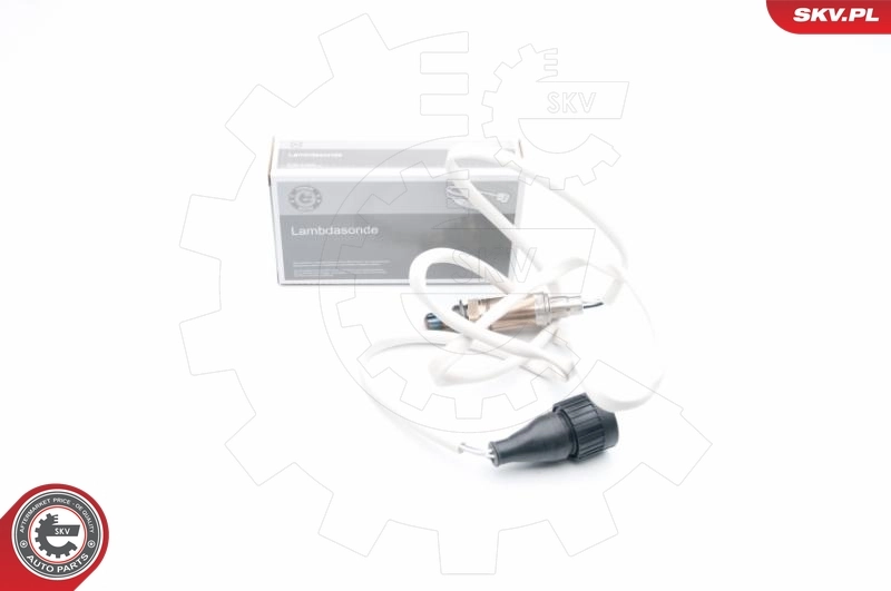 Oxygen Sensor